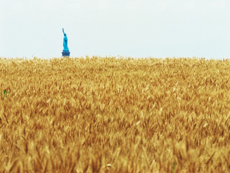 Agnes Denes (American, born Hungary, 1931). Wheatfield—A Confrontation: Battery Park Landfill, Downtown Manhattan—with Statue of Liberty across the Hudson, 1982. Two acres of wheat planted and harvested by the artist on the Battery Park landfill, Battery Park City, New York © Agnes Denes, Courtesy Leslie Tonkonow Artworks + Projects