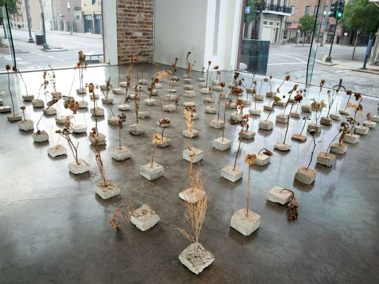  Rosalie Smith, My Mother’s Last Garden​ (installation view), 2019. Photo by Ryan Hodgson Rigsbee.