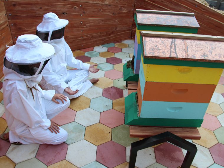 Juan William Chávez, The Indianapolis Bee Sanctuary, 2018 – present.