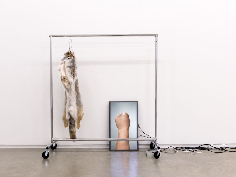 Duane Linklater, The place I seek to go, 2014. Coyote fur, garment rack, hanger, flat-screen TV, Apple Mac mini, digital video, cables, 132 x 66 x 20 in. Collection of Remai Modern, Saskatoon, Canada. Purchased with the support of the Canada Council for the Arts Acquisition Grants program, 2016. © Duane Linklater.