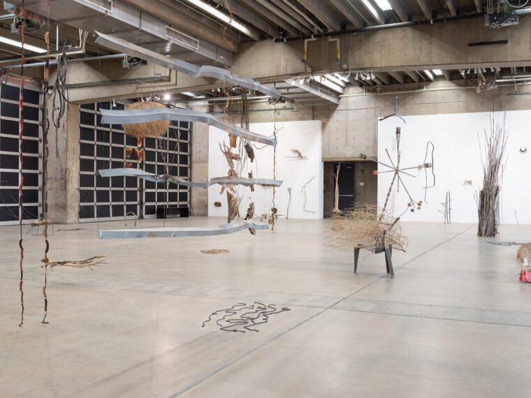 Cecilia Vicuña: Sonoran Quipu, 2023. Installation view. Photograph by Maya Hawk, copyright © MOCA Tucson, 2023.