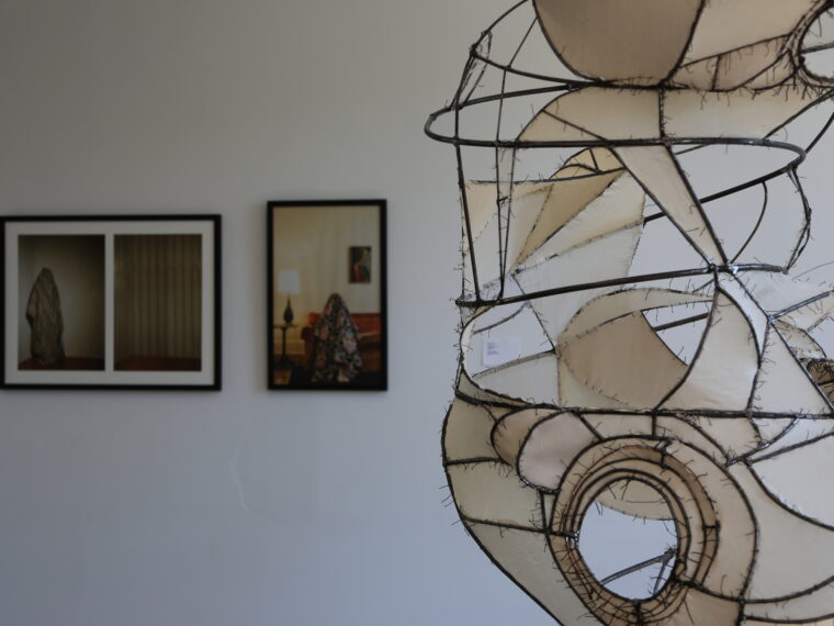 Installation view of “Wild/Mild: Vox Populi’s 17th Annual Juried Exhibition” featuring works by Daisy Diamond and Megan Lynch. Photo credit: Raúl Romero