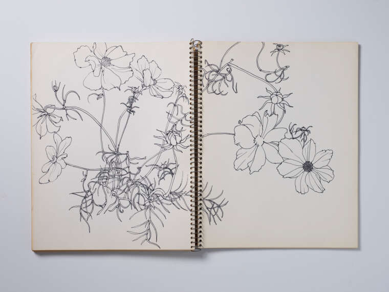 Ruth Asawa, Untitled double-page sketch of cosmos (SB.087), c. 1976–89. Ink on paper in spiral-bound sketchbook, 14 1/8 × 22 1/2 in. (35.9 × 57.2 cm). Private collection. Artwork © 2023 Ruth Asawa Lanier, Inc./Artists Rights Society (ARS), New York. Courtesy David Zwirner