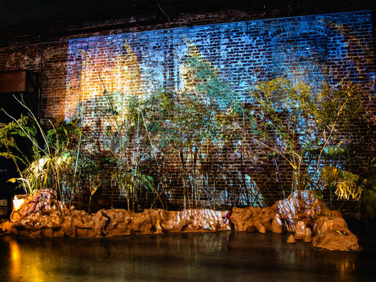 Molly Morningglory, are, am, over (#c. Bvbancha)(1), 2023. Clay, flora, video projection. New Orleans Film Festival 2023. Photo by Quincy Cob.