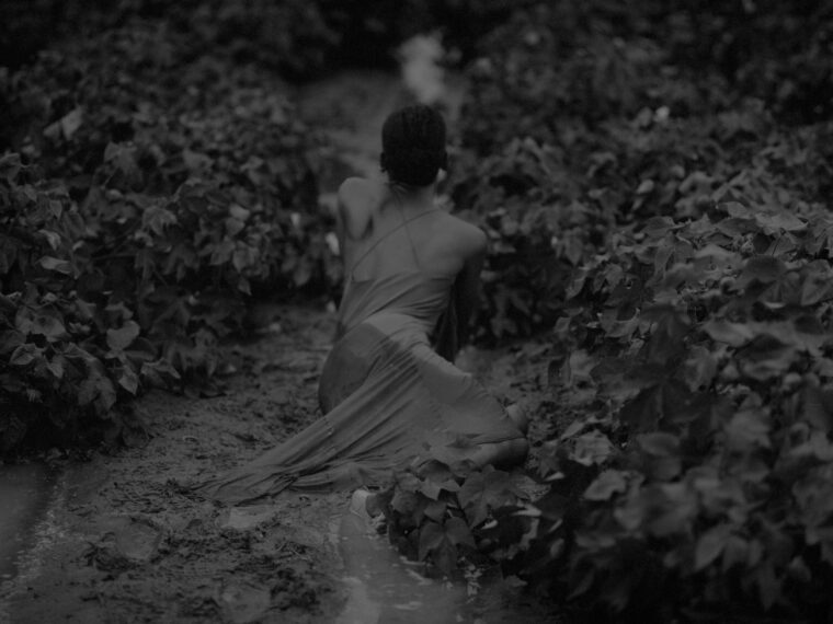 Chanell Stone American, Cotton Mud, 2022, Inkjet print 50 in. x 60 in.