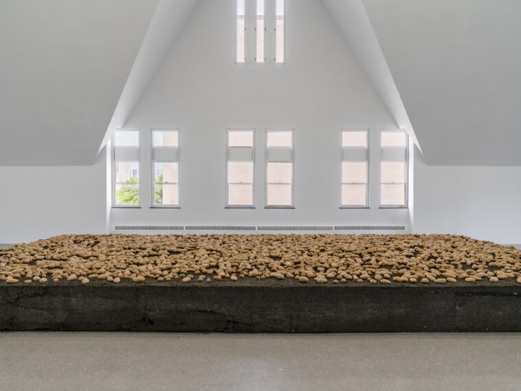 Ximena Gariddo-Lecca, Geminations, 2025. Installation view. Photo by Bob.