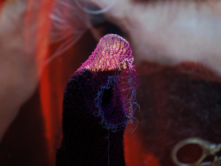 Sharon Kagan, “…and then this happened…”, 2025. Courtesy Los Angeles Contemporary Exhibitions (LACE). Photograph by Angel Origgi.